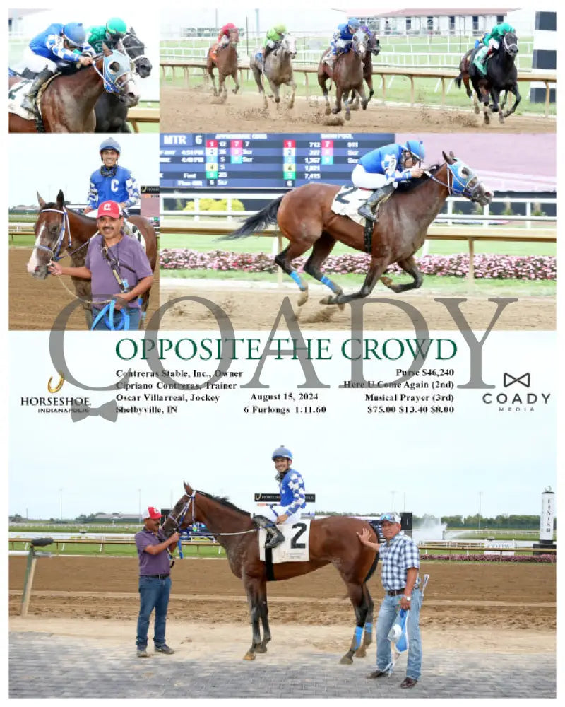 Opposite The Crowd - 08-15-24 R06 Ind Indiana Grand