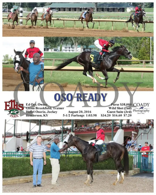 Oso Ready - 082016 Race 07 Elp Ellis Park