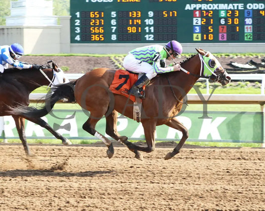 OSSETRA - 050716 - Race 07 - BTP Finish - Coady Media - Kurtis Coady Photography