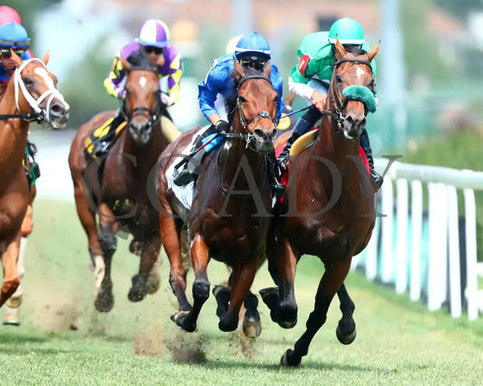 Ottoman Fleet - The Wise Dan G2 06-29-24 R07 Cd First Turn 01 Churchill Downs