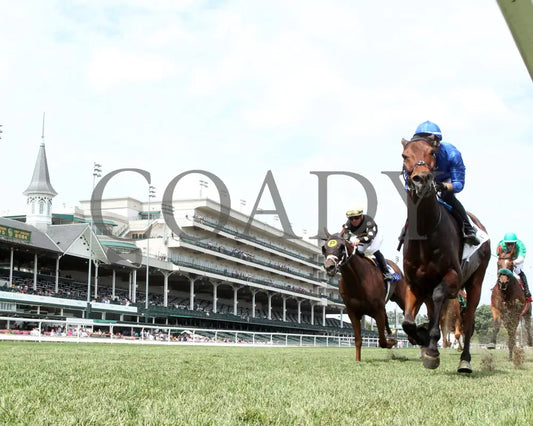 Ottoman Fleet - The Wise Dan G2 06-29-24 R07 Cd Under Rail 01 Churchill Downs
