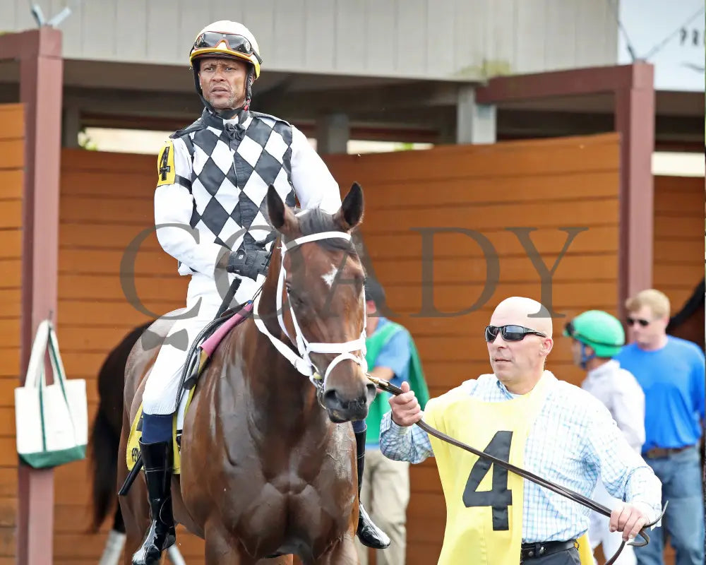 OUR LADY - The Malvern Rose Stakes - 19th Running - 07-07-25 - R07 - Presque Isle Downs - Paddock 07 Presque Isle Downs