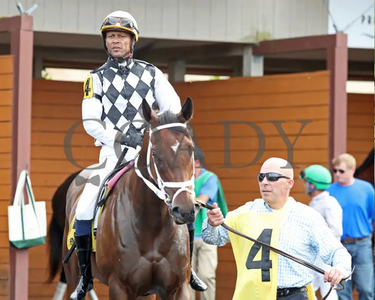 OUR LADY - The Malvern Rose Stakes - 19th Running - 07-07-25 - R07 - Presque Isle Downs - Paddock 07 Presque Isle Downs