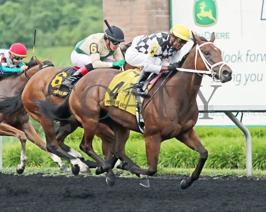 OUR LADY - The Malvern Rose Stakes - 19th Running - 07-07-25 - R07 - Presque Isle Downs - Tight Finish Presque Isle