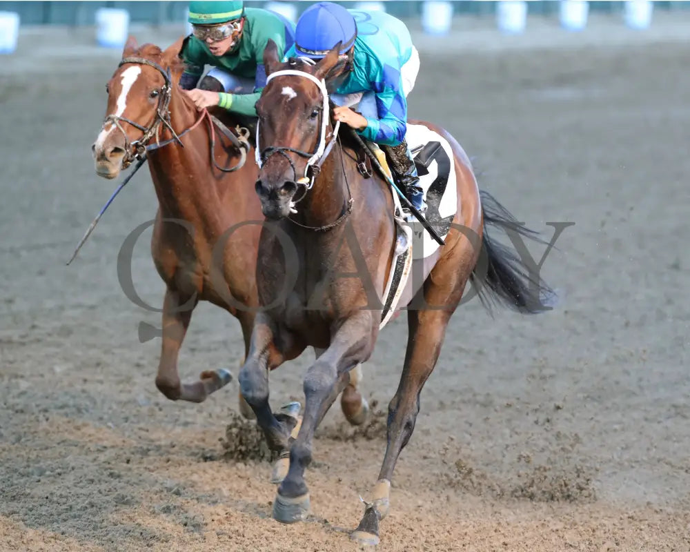 Our Pretty Woman - The Monomoy Girl Overnight Stakes 3Rd Running 06-15-24 R05 Cd Inside Finish 02