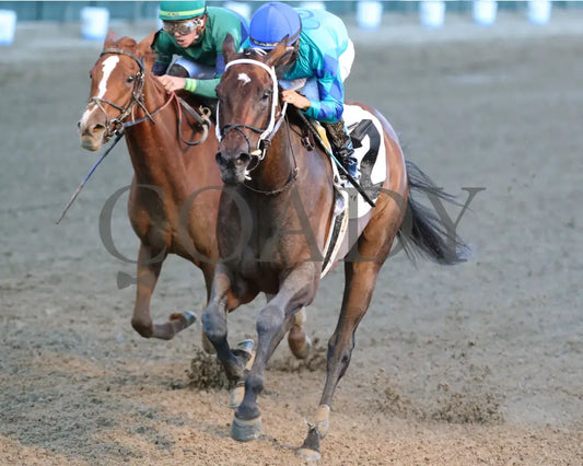 Our Pretty Woman - The Monomoy Girl Overnight Stakes 3Rd Running 06-15-24 R05 Cd Inside Finish 02