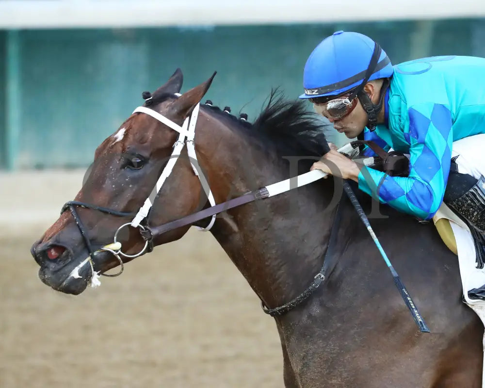 Our Pretty Woman - The Monomoy Girl Overnight Stakes 3Rd Running 06-15-24 R05 Cd Inside Finish 03