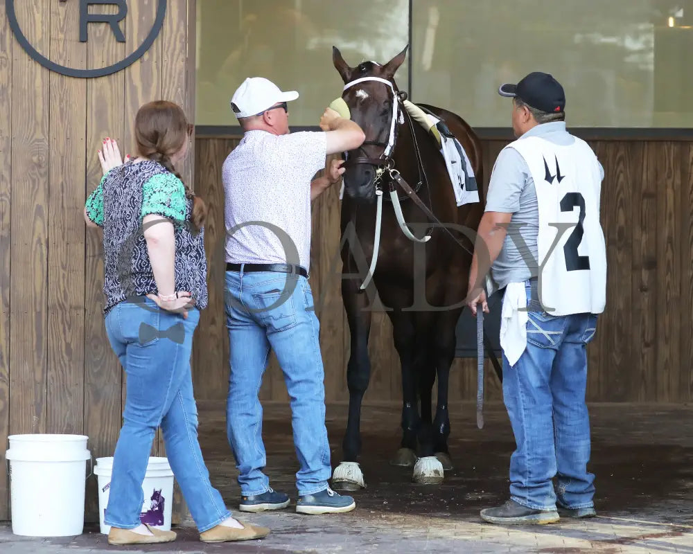 Our Pretty Woman - The Monomoy Girl Overnight Stakes 3Rd Running 06-15-24 R05 Cd Paddock 01