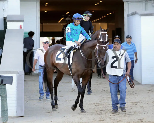Our Pretty Woman - The Monomoy Girl Overnight Stakes 3Rd Running 06-15-24 R05 Cd Post Parade 02