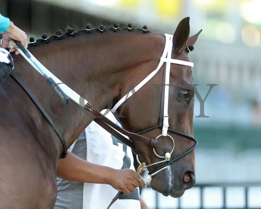 Our Pretty Woman - The Monomoy Girl Overnight Stakes 3Rd Running 06-15-24 R05 Cd Post Parade 03