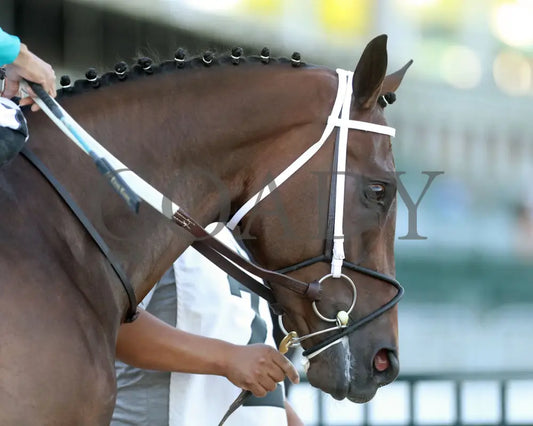 Our Pretty Woman - The Monomoy Girl Overnight Stakes 3Rd Running 06-15-24 R05 Cd Post Parade 03
