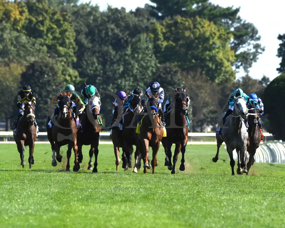 Our Shot - The Woodford Presented By Fanduel G2 10-05-24 R06 Kee Head On 01 Keeneland