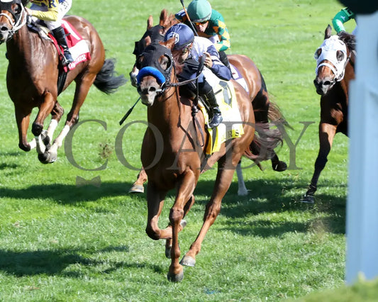 Our Shot - The Woodford Presented By Fanduel G2 10-05-24 R06 Kee Inside Finish 02 Keeneland