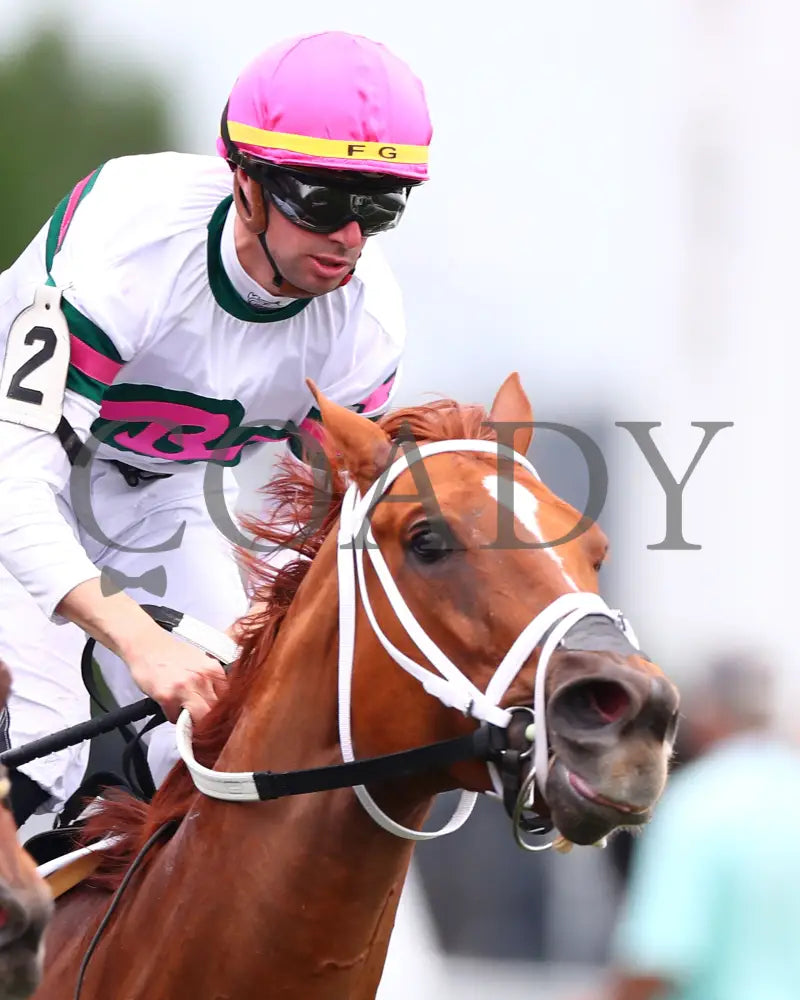 Ova Charged - The Unbridled Sidney G3 05-03-24 R06 Cd Head On 04 Churchill Downs