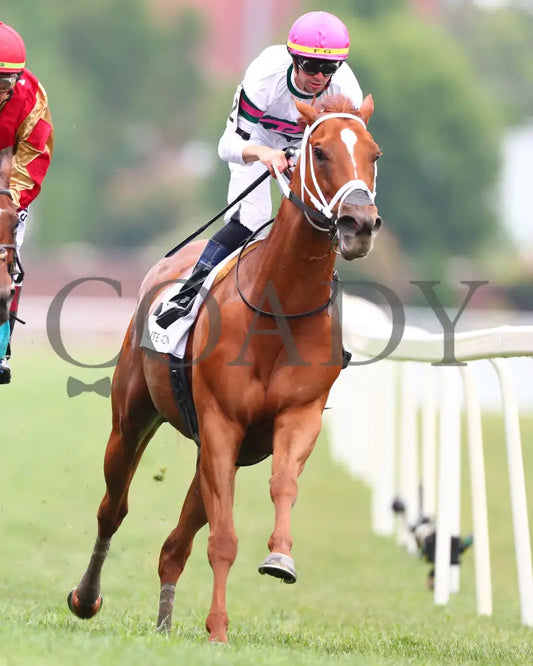 Ova Charged - The Unbridled Sidney G3 05-03-24 R06 Cd Head On 03 Churchill Downs
