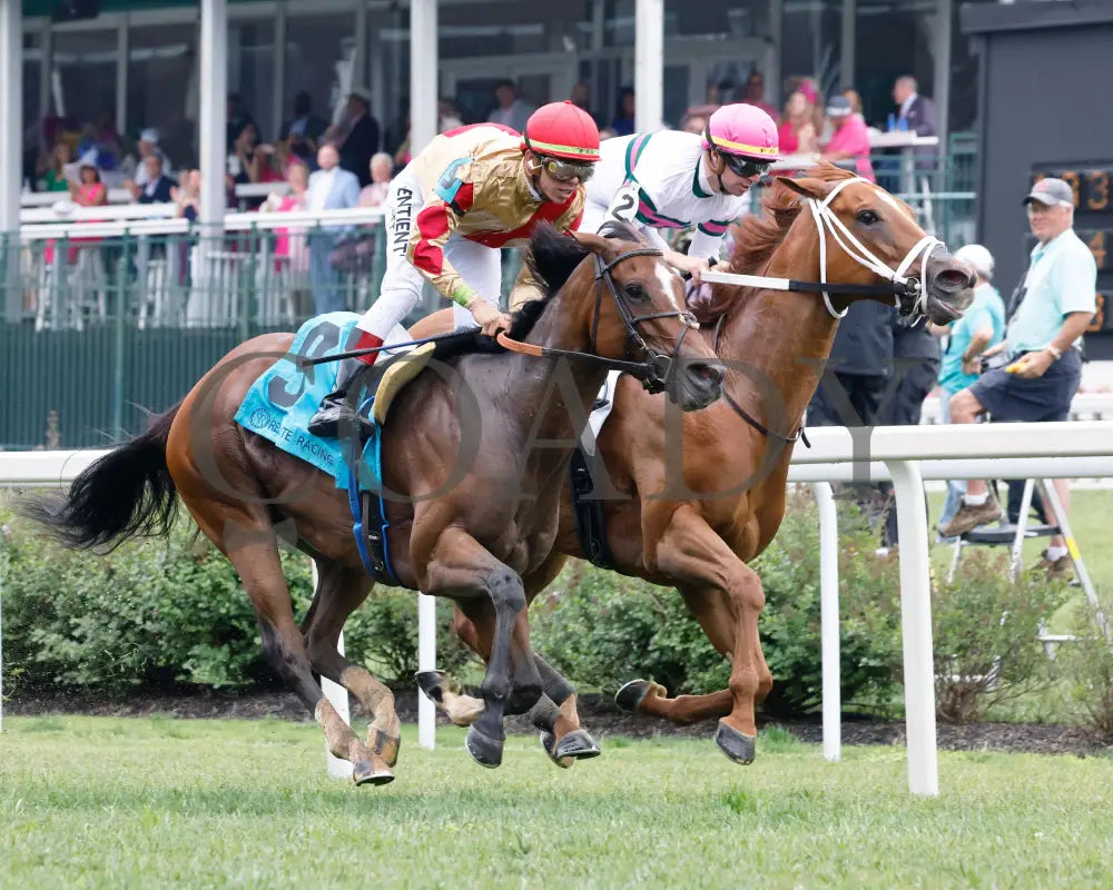 Ova Charged - The Unbridled Sidney G3 05-03-24 R06 Churchill Downs Gallop Out 01 Christine Hayden