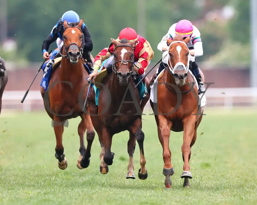 Ova Charged - The Unbridled Sidney G3 05-03-24 R06 Churchill Downs Head On 01 Lauren Givhan