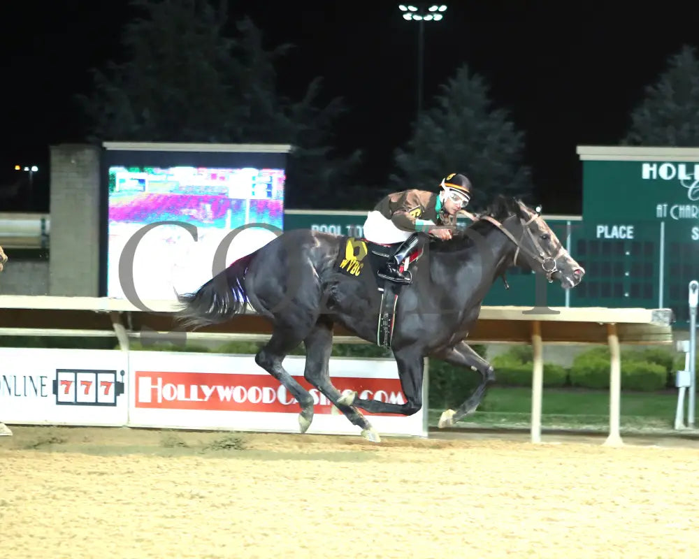 Overnight Pow Wow - West Virginia Cavada Breeders Classic 10-12-24 R07 Ct Finish 01 Hollywood