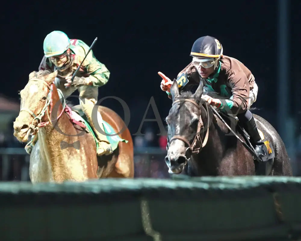 Overnight Pow Wow - West Virginia Cavada Breeders Classic 10-12-24 R07 Ct Inside Finish 01