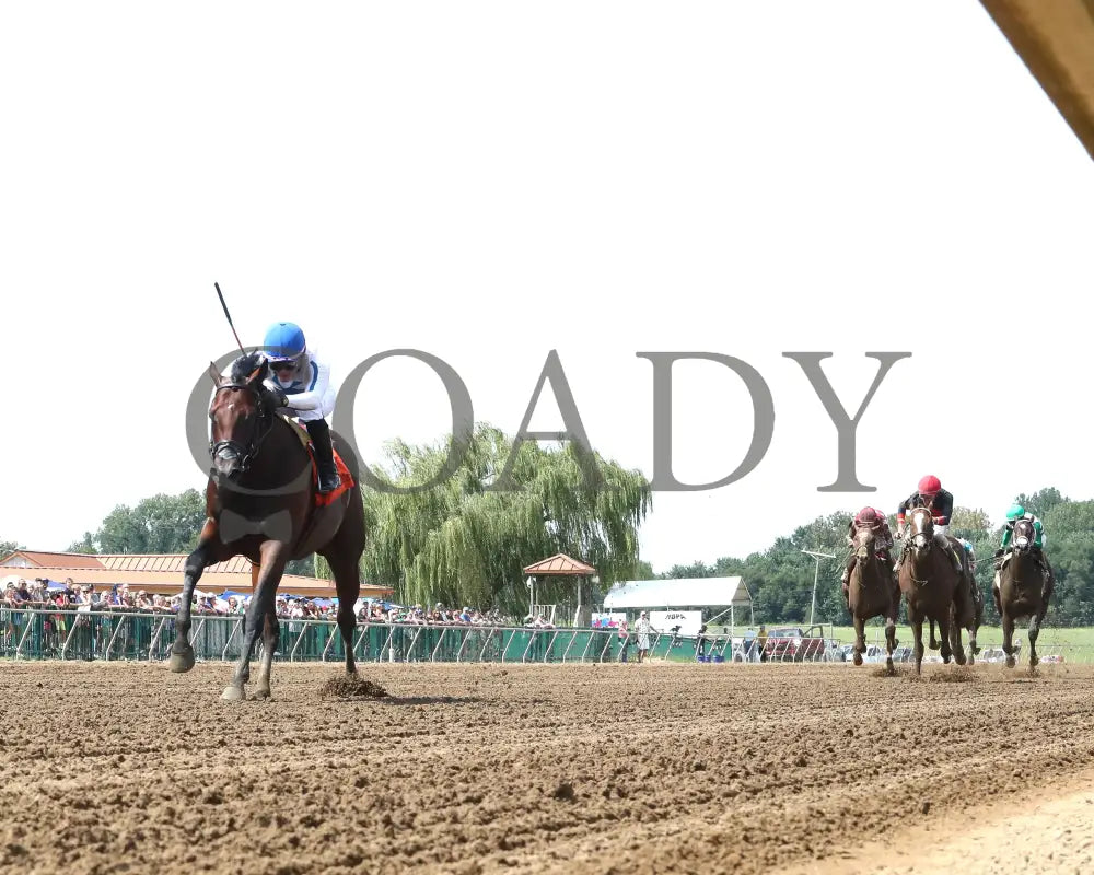 Owen Almighty - The Ellis Park Juvenile 9Th Running 08-11-24 R07 Elp Under Rail 01