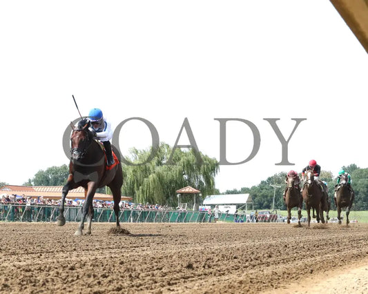 Owen Almighty - The Ellis Park Juvenile 9Th Running 08-11-24 R07 Elp Under Rail 01