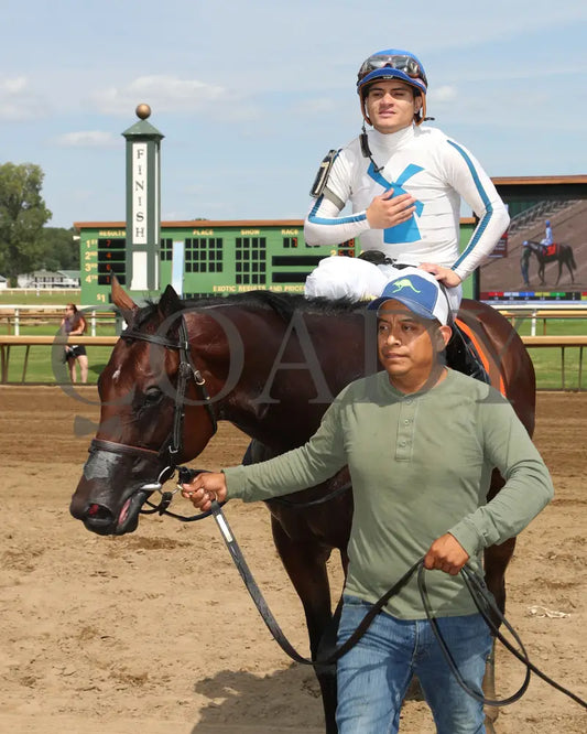 Owen Almighty - The Ellis Park Juvenile 9Th Running 08-11-24 R07 Elp Walk In 01