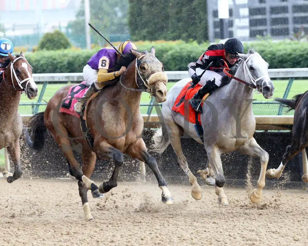 Owendale - The Blame 1St Running 05-23-20 R09 Cd Finish 02 Churchill Downs