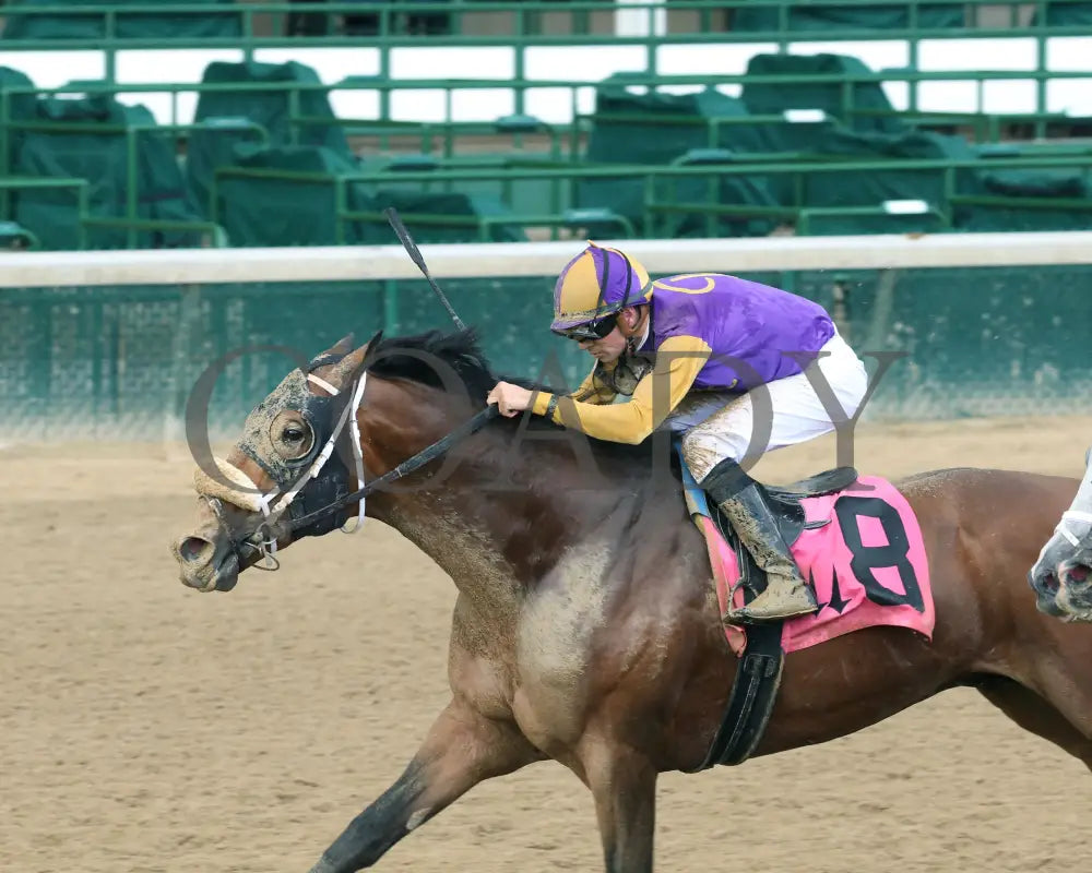 Owendale - The Blame 1St Running 05-23-20 R09 Cd Inside Finish 02 Churchill Downs