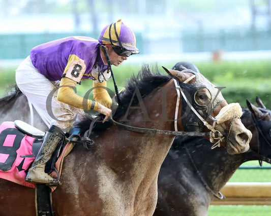 Owendale - The Blame 1St Running 05-23-20 R09 Cd Tight Finish 01 Churchill Downs