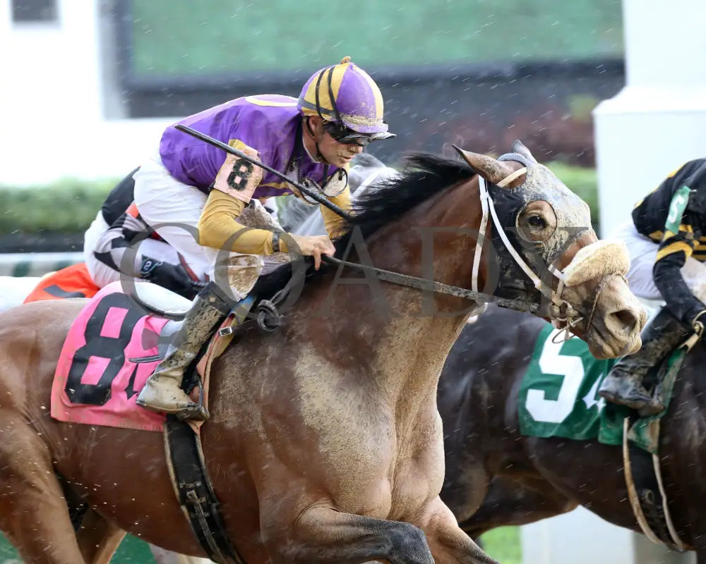 Owendale - The Blame 1St Running 05-23-20 R09 Cd Tight Finish 01 Churchill Downs