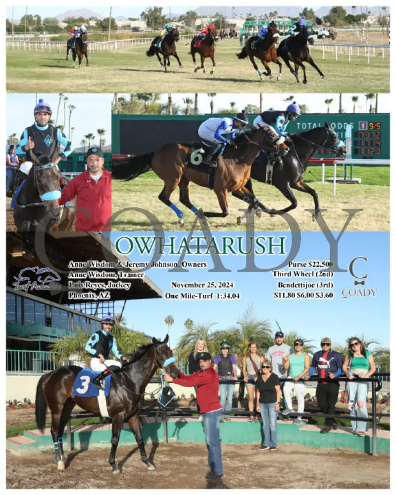 Owhatarush - 11-25-24 R06 Tup Turf Paradise