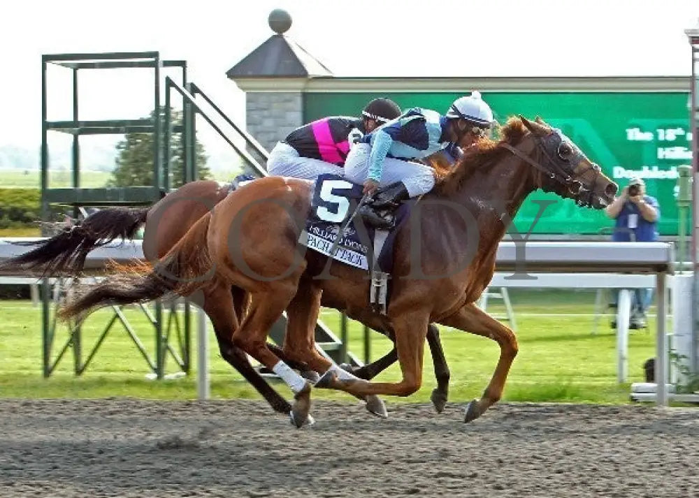 Pachattack - 042012 Race 09 Fin Keeneland