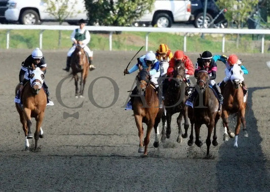 Pachattack - 042012 Race 09 Head On Keeneland
