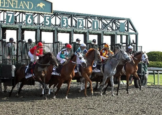 Pachattack - 042012 Race 09 Start Keeneland