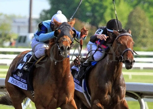 Pachattack - 042012 Race 09 Tightfin Keeneland