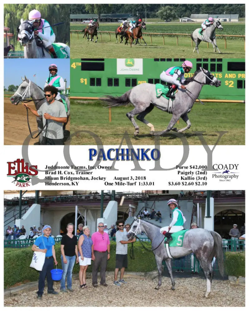 Pachinko - 080318 Race 08 Elp Ellis Park