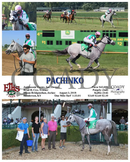 Pachinko - 080318 Race 08 Elp Ellis Park