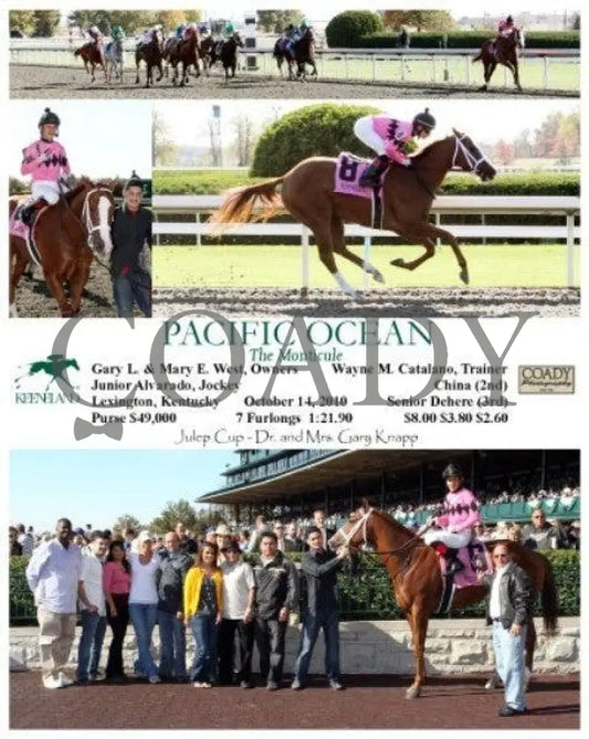 Pacific Ocean - The Monticule Keeneland