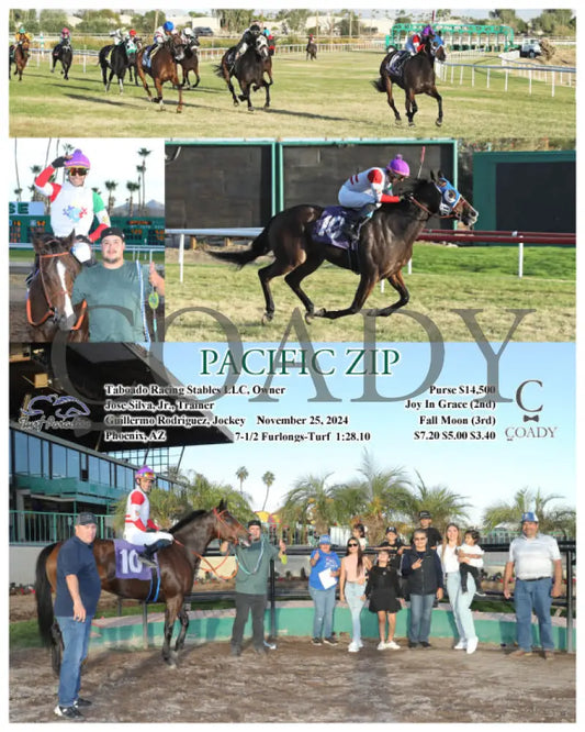 Pacific Zip - 11-25-24 R08 Tup Turf Paradise