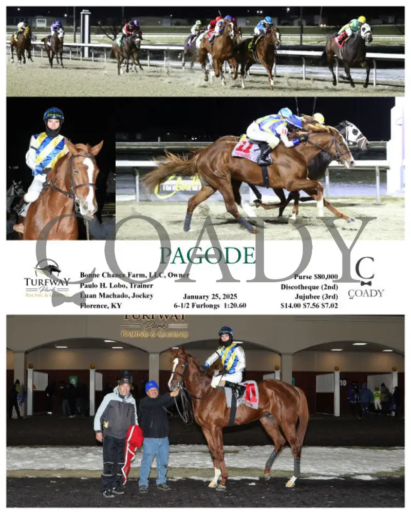 Pagode - 01-25-25 R05 Tp Turfway Park