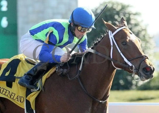 Painted Woman - 1 102211 Race 07 Keeneland