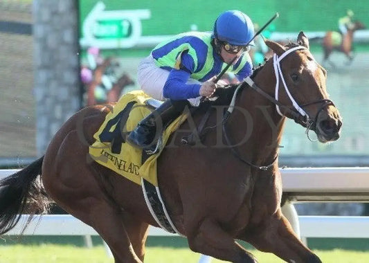 Painted Woman - 2 102211 Race 07 Keeneland