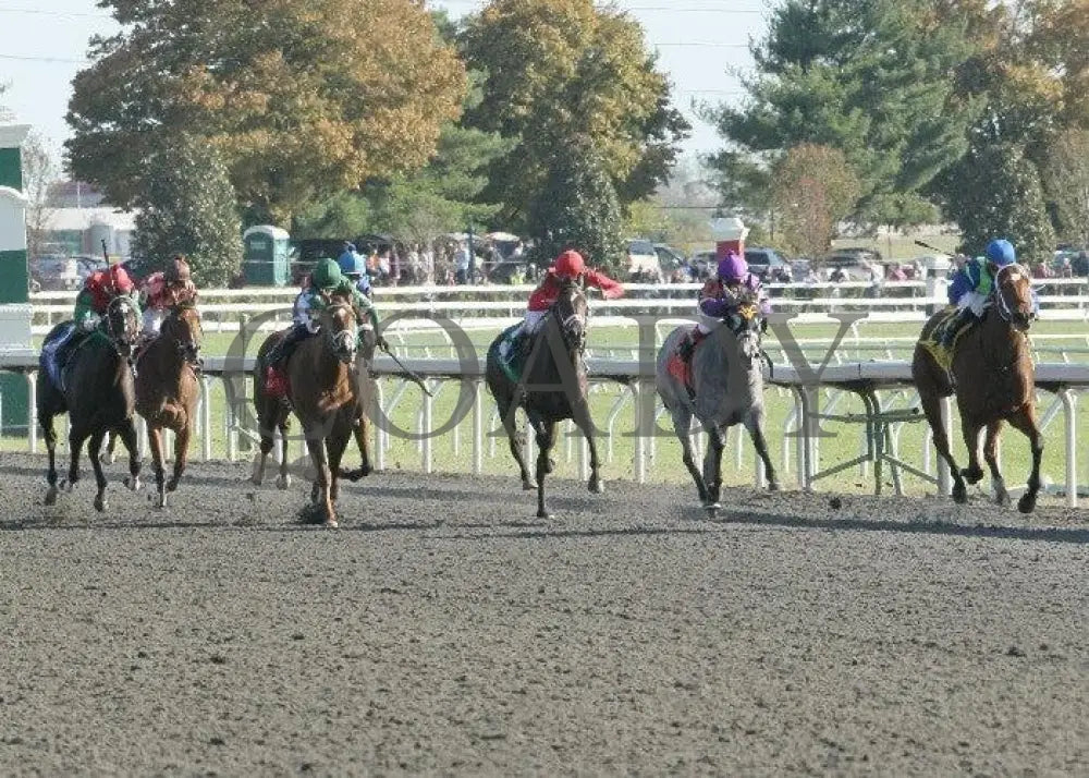 Painted Woman - 3 102211 Race 07 Keeneland