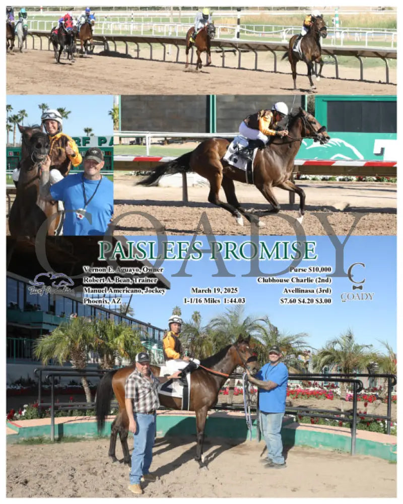 PAISLEES PROMISE - 03-19-25 - R07 - TUP Turf Paradise