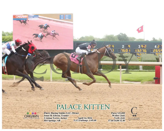 Palace Kitten - 04 - 14 - 24 R02 Op A Oaklawn Park