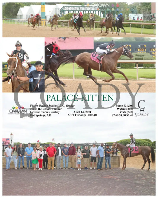 Palace Kitten - 04 - 14 - 24 R02 Op Oaklawn Park
