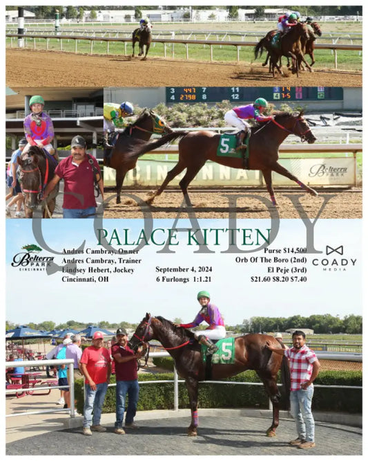 Palace Kitten - 09-04-24 R07 Btp Belterra Park