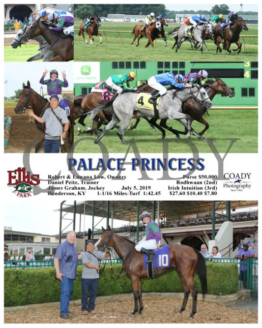 Palace Princess - 07-05-19 R09 Elp Ellis Park