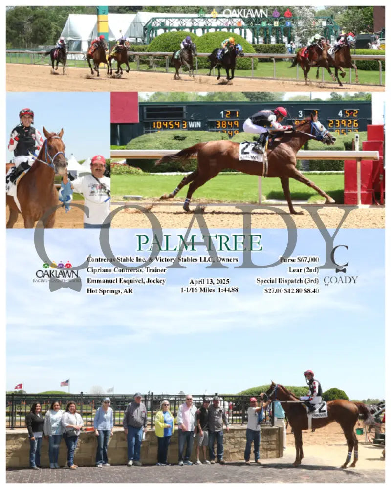 PALM TREE - 04-13-25 - R03 - OP Oaklawn Park