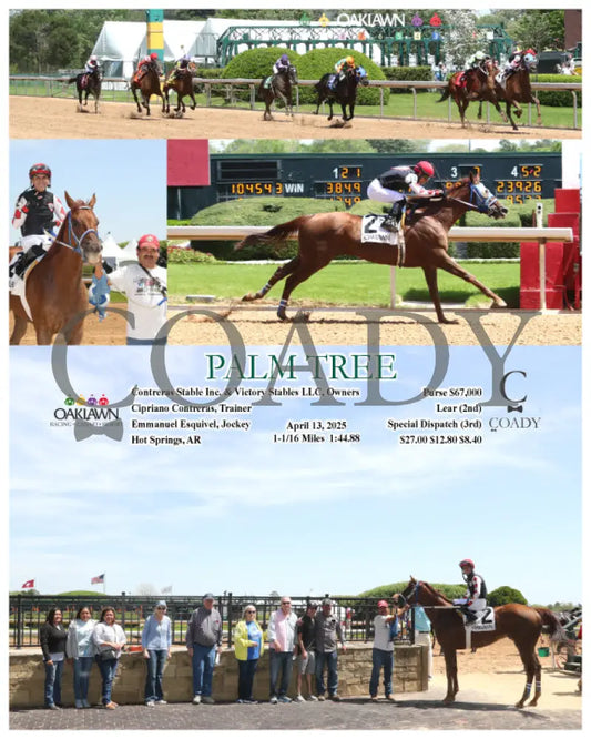 PALM TREE - 04-13-25 - R03 - OP Oaklawn Park